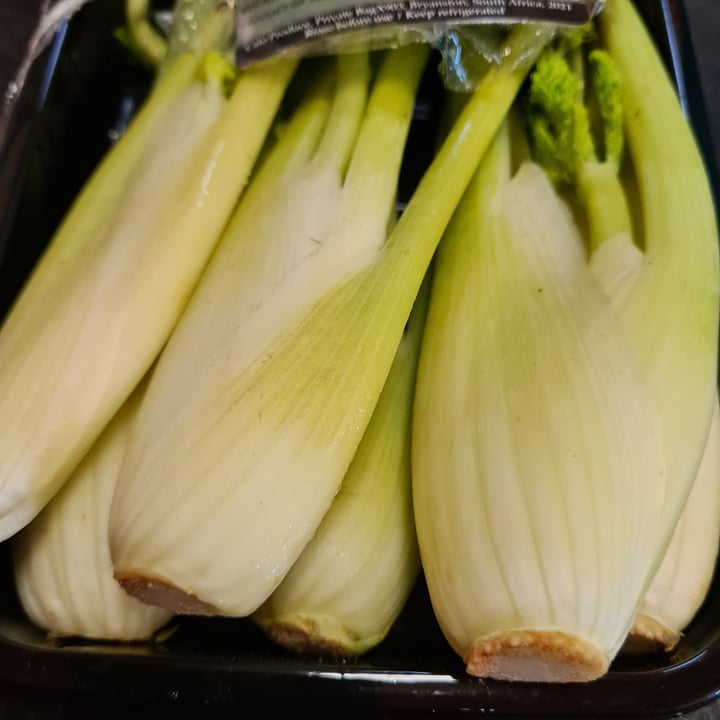 Cato Produce Baby Fennel Review abillion