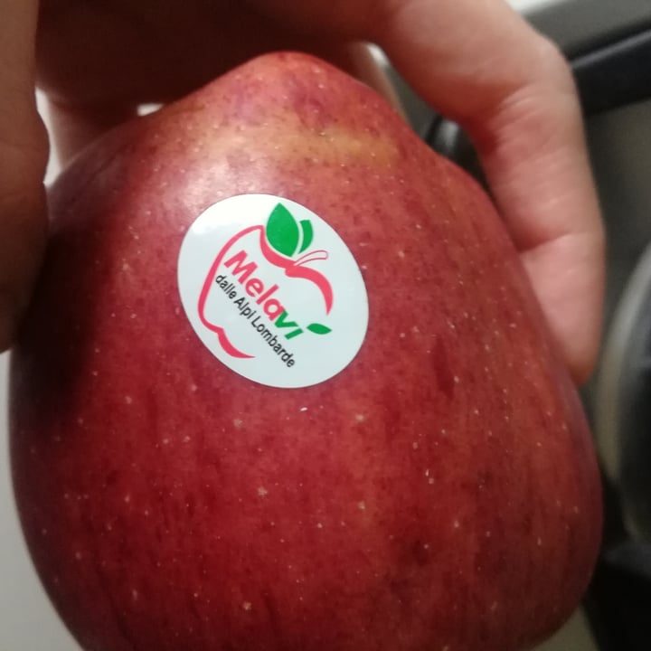 Melaví Mela Review abillion