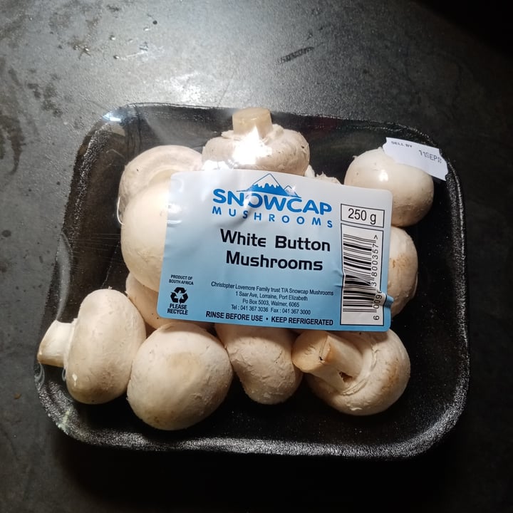 snowcap mushrooms Reviews abillion