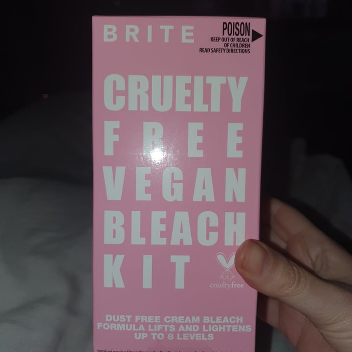 Brite Brite Bleach Kit Review abillion