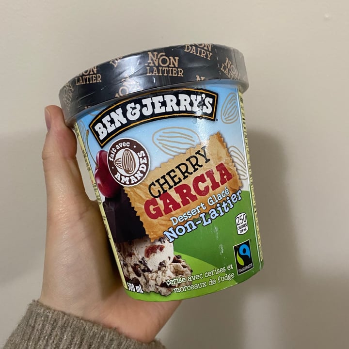 Ben & Jerry's Cherry Garcia NonDairy Frozen Dessert Review abillion