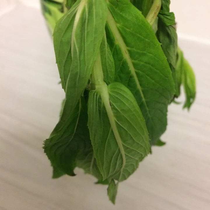 review photo of Woolworths Food Mint herb shared by @freedomforanimals on 07 Jun 2020 - review