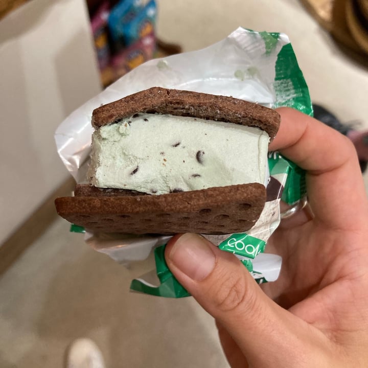 Jolly Llama Cool Mint Chip DF GF Sandwiches Reviews abillion
