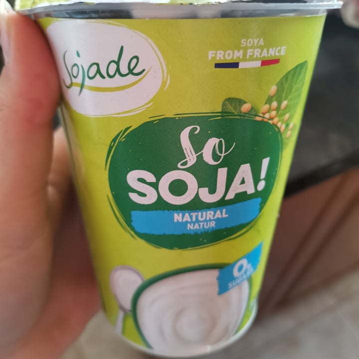 Sojade So Soja! Natural Soya Yogurt alternative 400g Review abillion