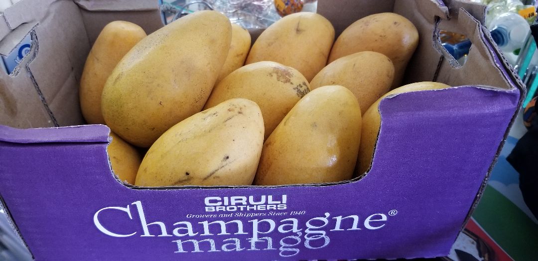 Champagne Mango Honey Mangos Reviews abillion