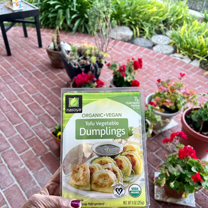 Nasoya Organic Tofu Vegetable Dumplings Review abillion