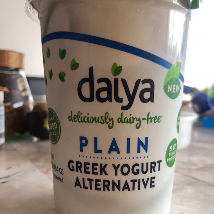Daiya Plain Greek Yogurt Alternative Review abillion