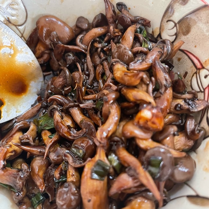 Shimeji Cogumelo Review abillion