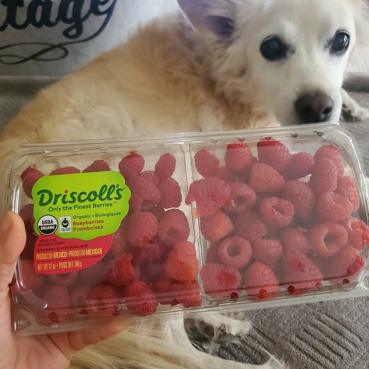 Driscoll’s Raspberries Review | abillion