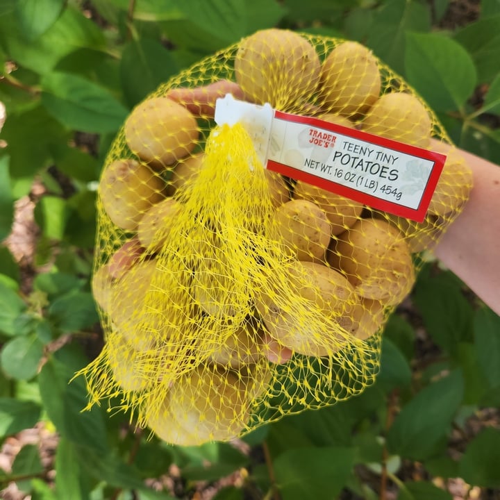 Trader Joe's Teeny Tiny Potatoes Reviews abillion