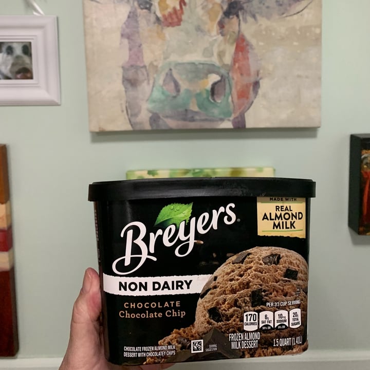 Breyers Chocolate Chocolate Chip Frozen Almond Milk Dessert Review