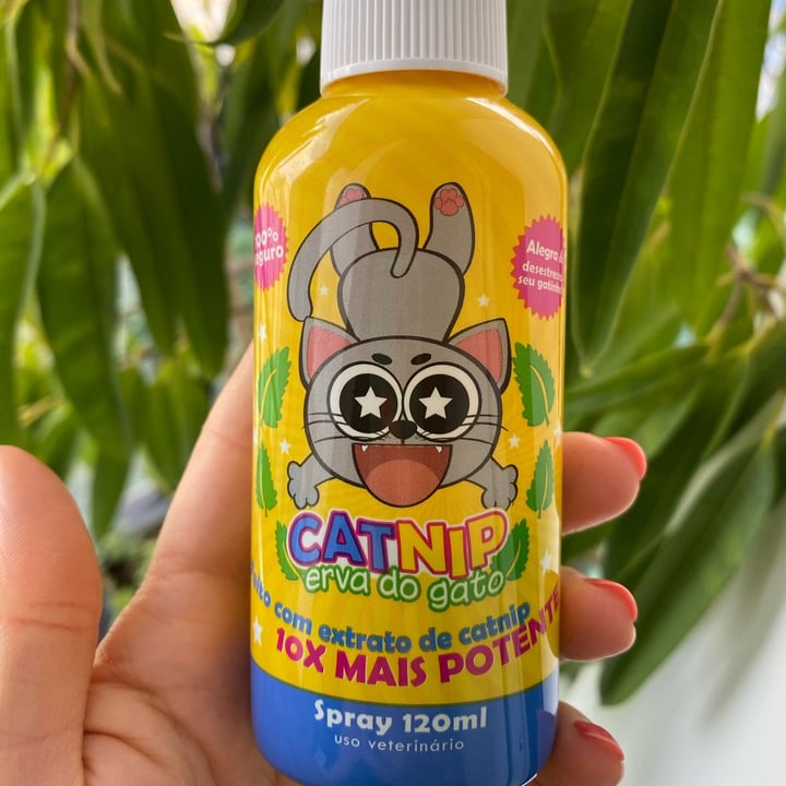 Cat My Pet Spray De Catnip Review Abillion