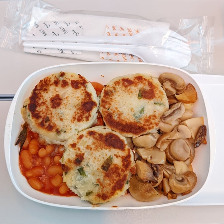 Flydubai Vegetarian Breakfast Review abillion
