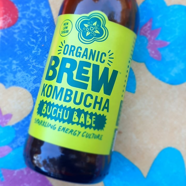 Brew Kombucha Buchu Babe Review abillion