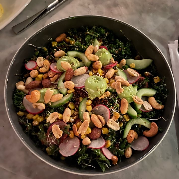 Heddon Street Kitchen Mayfair, United Kingdom Superfood Salad Review