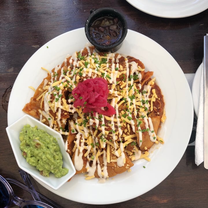 The Pitted Date Vegan Restaurant, Bakery and Café Luis Donaldo Colosio