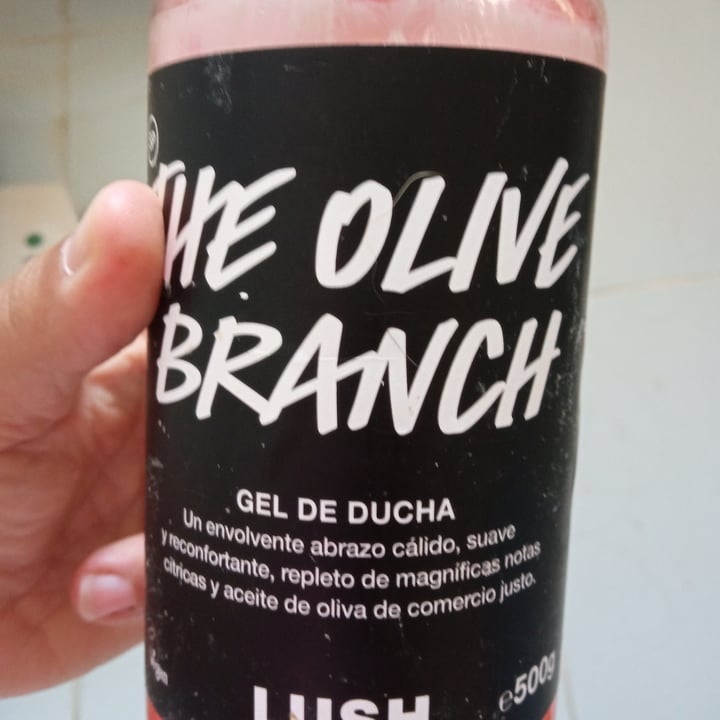 LUSH Fresh Handmade Cosmetics The Olive Branch Shower Gel Review abillion
