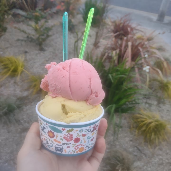 Scoop Ranelagh Ranelagh, Dublin, Ireland Vegan Ice cream Review abillion