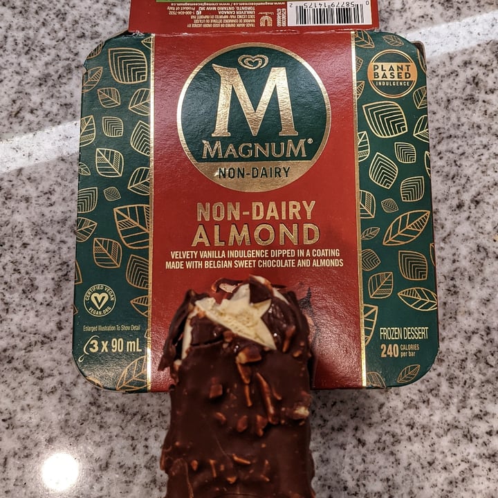 Magnum Dairy Free Almond Review abillion
