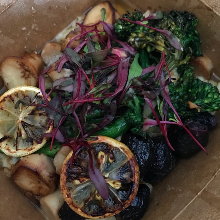 ION Restaurant, It's Only Natural Middletown, United States Trumpet