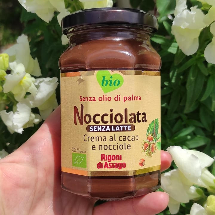 Rigoni di Asiago Nocciolata Dairy Free Hazelnut Spread with Cocoa Review abillion