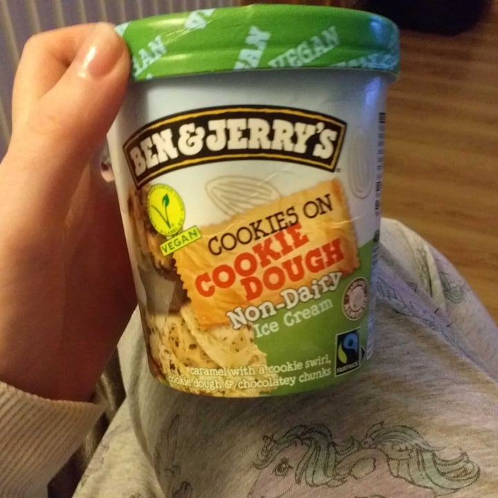 Ben & Jerry's Chocolate Chip Cookie Dough NonDairy Frozen Dessert