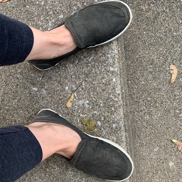 Sanuk Slip Ons Reviews abillion