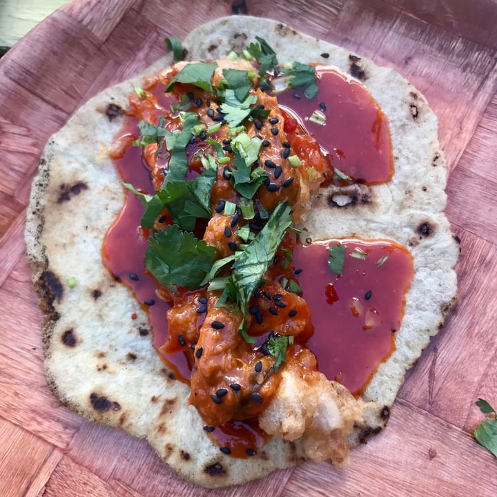 Fish Company Taco, Galveston, United States Reviews abillion