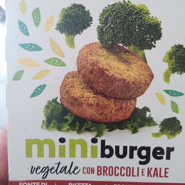 Kioene Mini Burger Broccoli & Kale Review abillion