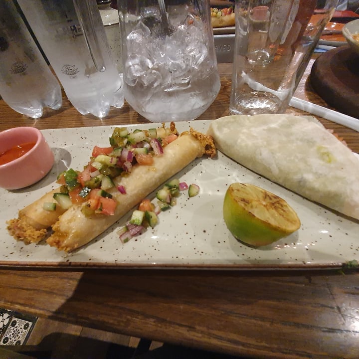 Salsa Mexican Grill Pineslopes Vegan Night Reviews abillion
