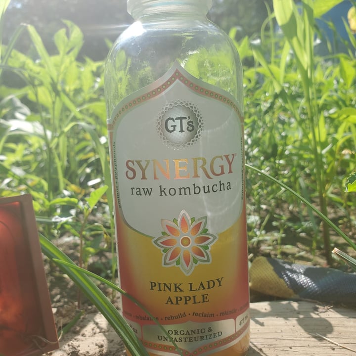 GT’s Living Foods Synergy Raw Kombucha Pink Lady Apple Reviews abillion