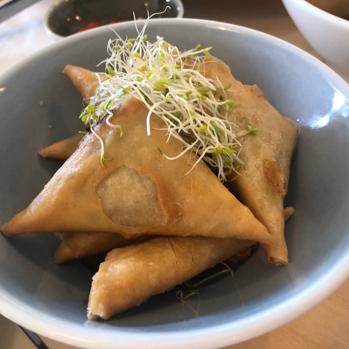 Real Food Yishun, Singapore Potato Samosa Review abillion