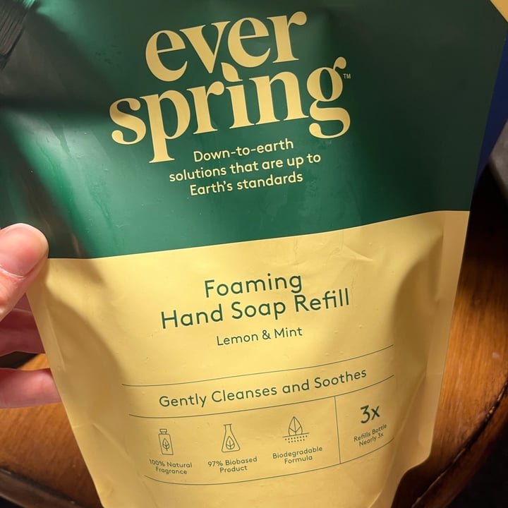 ever spring by Target foaming soap refill Review abillion