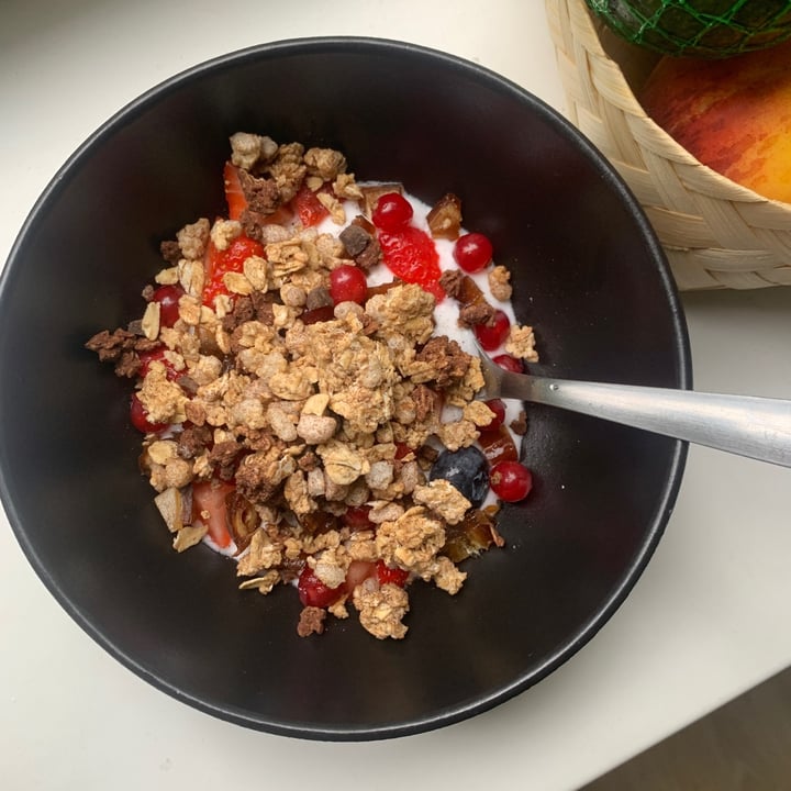 Holie Crunchy Muesli Chocolate Whole Grain Oats Reviews abillion