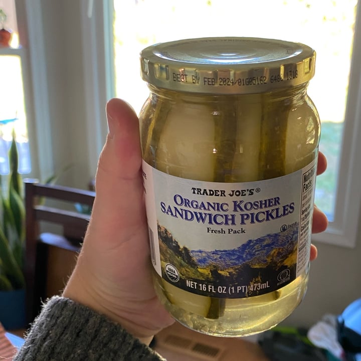 Trader Joe's Organic Kosher Sandwich Pickles Review abillion