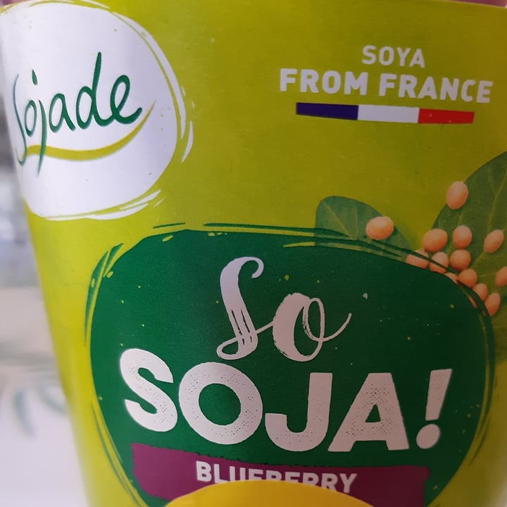 Sojade Yogurt blueberry Reviews abillion