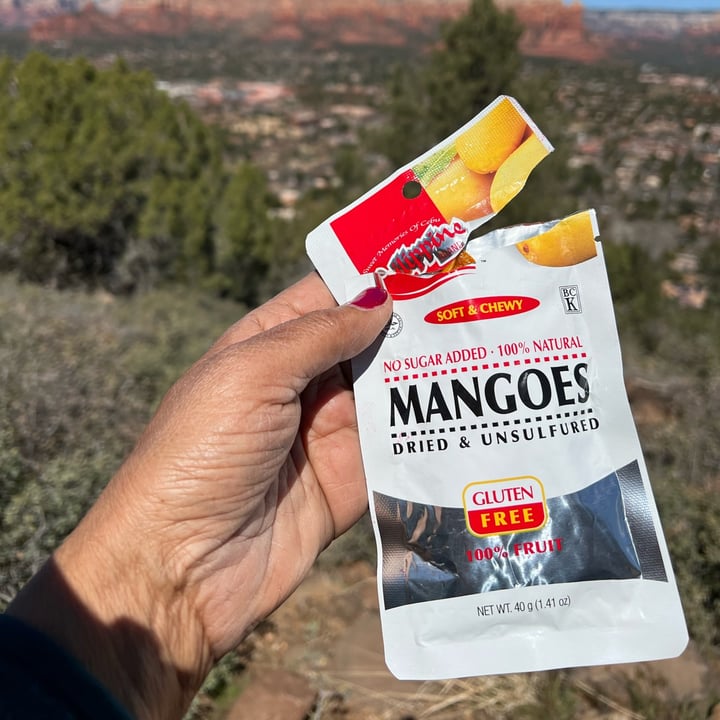 Philippine BRAND Dried Mangoes Review abillion