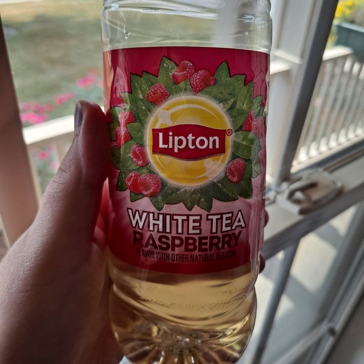 Lipton White Tea Raspberry Review abillion