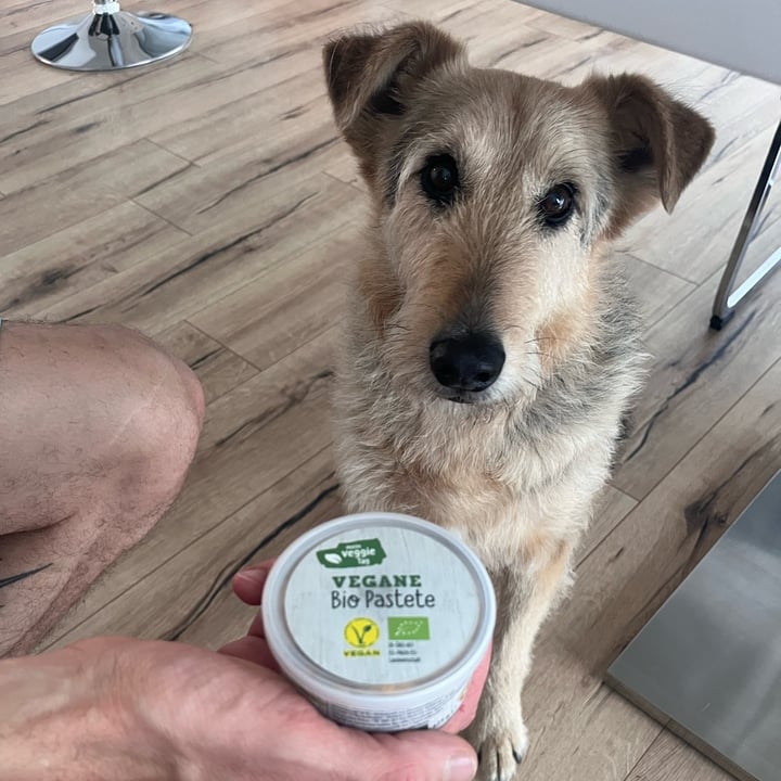 Vegane bio pastete veggie spread Review | abillion
