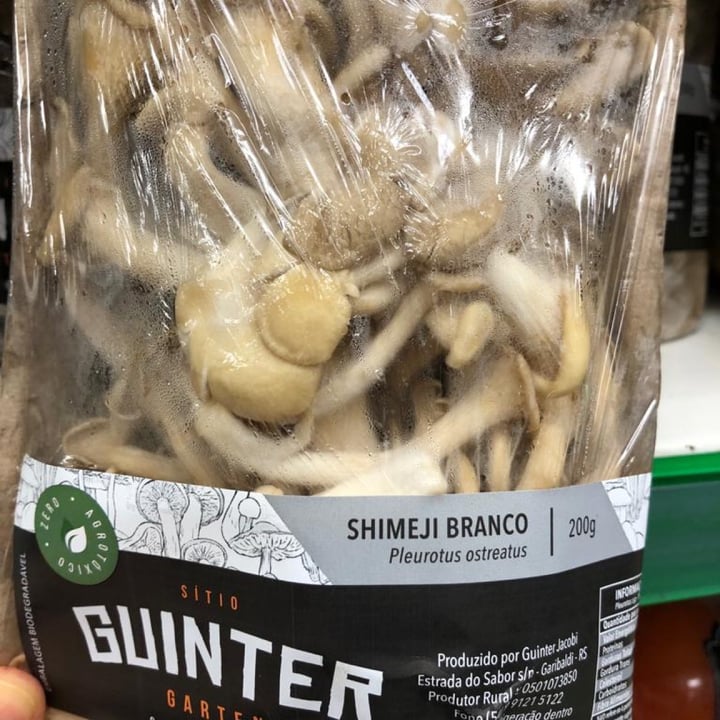 guinter Shimeji Branco Review abillion