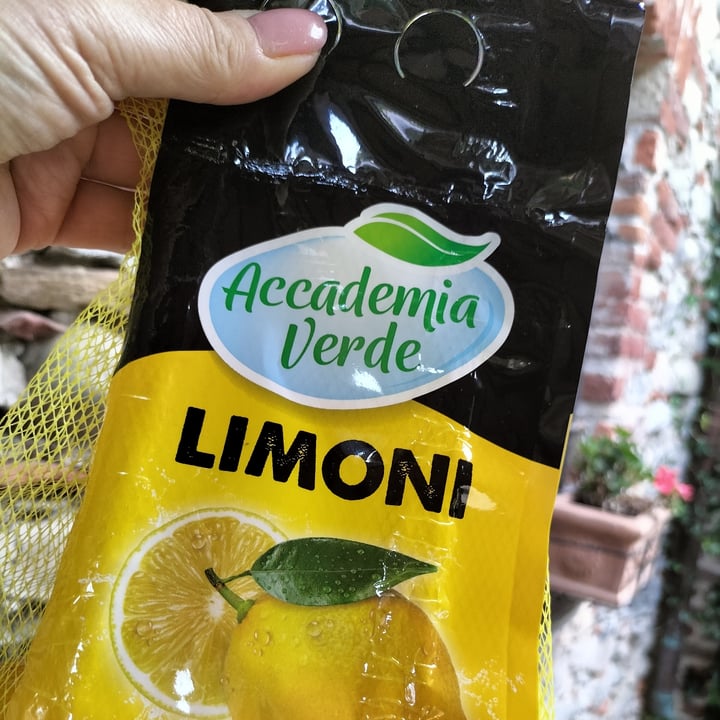 Accademia verde Reviews abillion