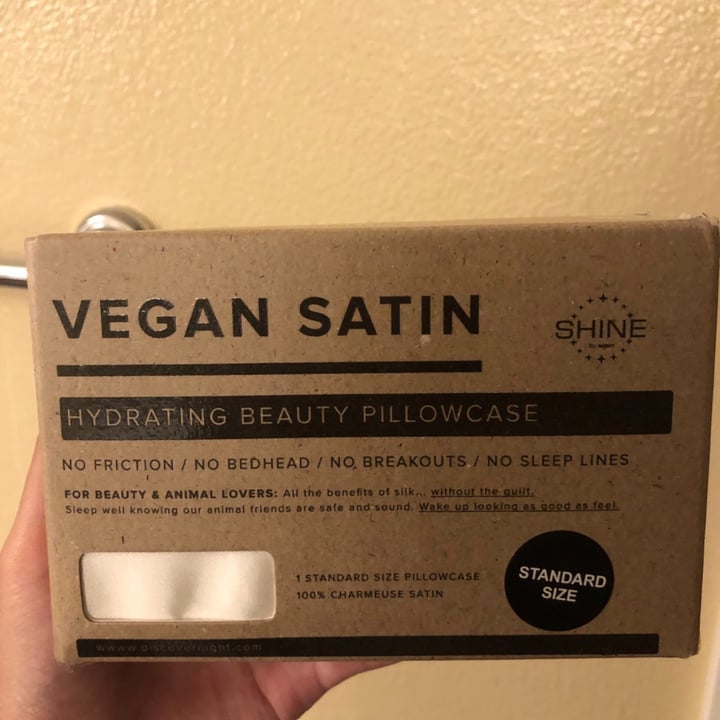 SHINE by NIGHT Vegan Satin Hydrating Beauty Pillowcase Review abillion