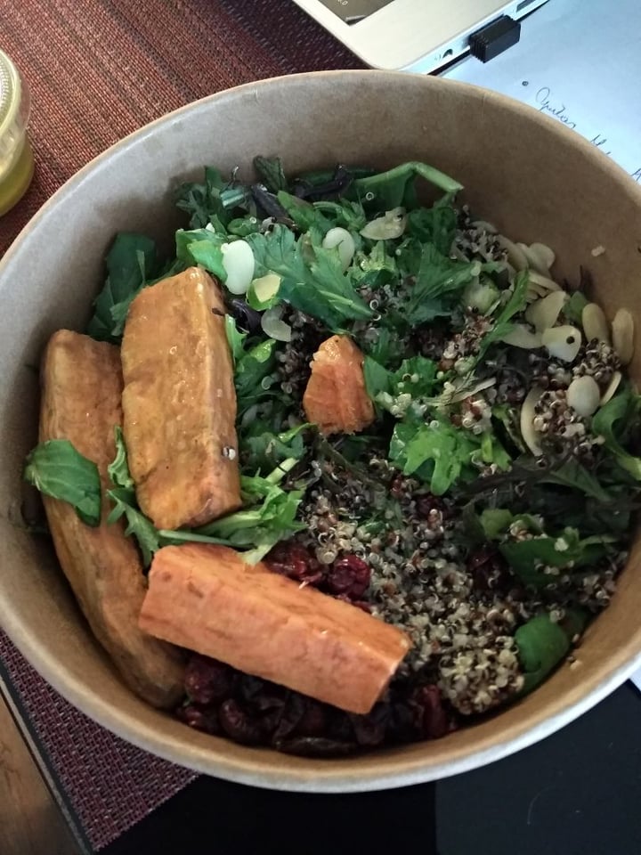 Primal Foods Alimentación Saludable Bowl Quinoa Salad Reviews abillion