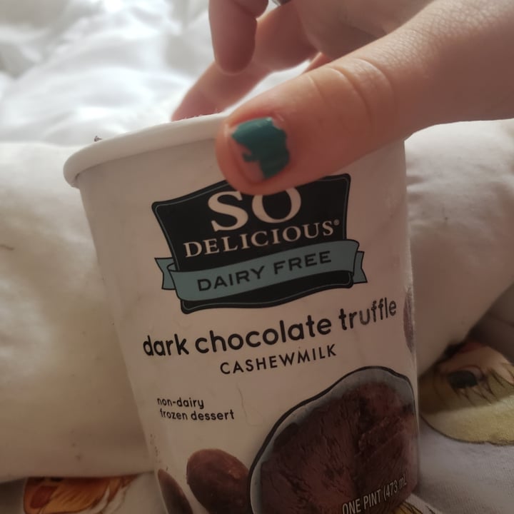 So Delicious Dairy Free Dark Chocolate Truffle Cashewmilk Frozen