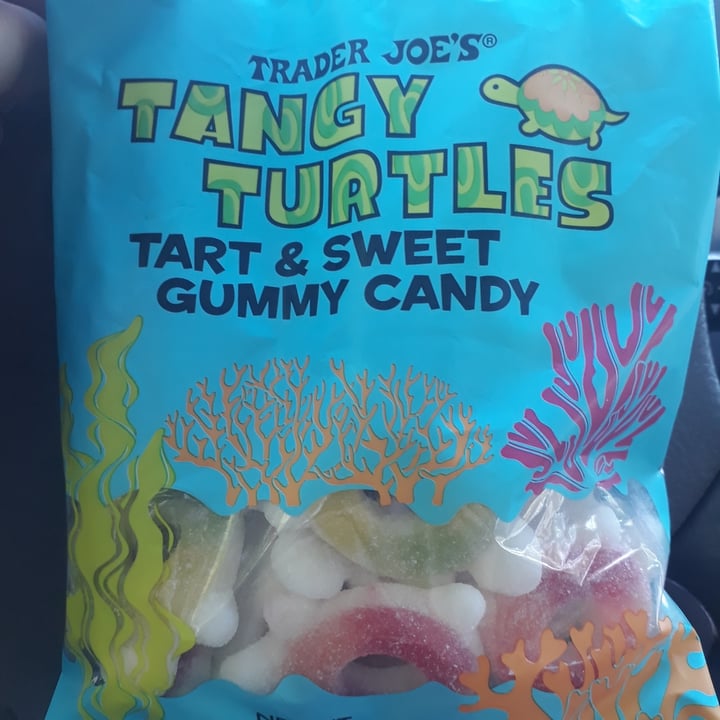 Trader Joe's Tangy Turtles Review | abillion