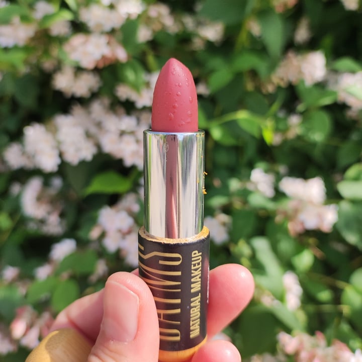Baims natural makeup Lipstick Review abillion