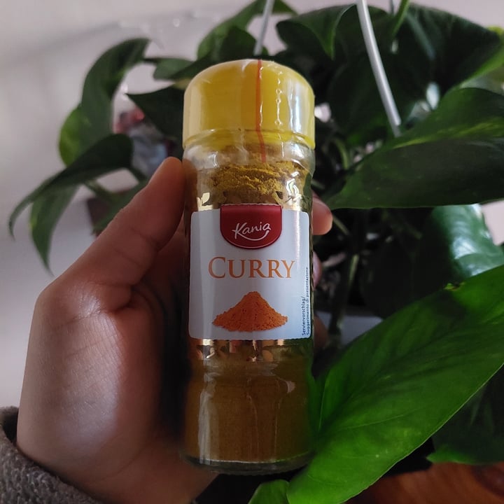 Kania Curry Review abillion