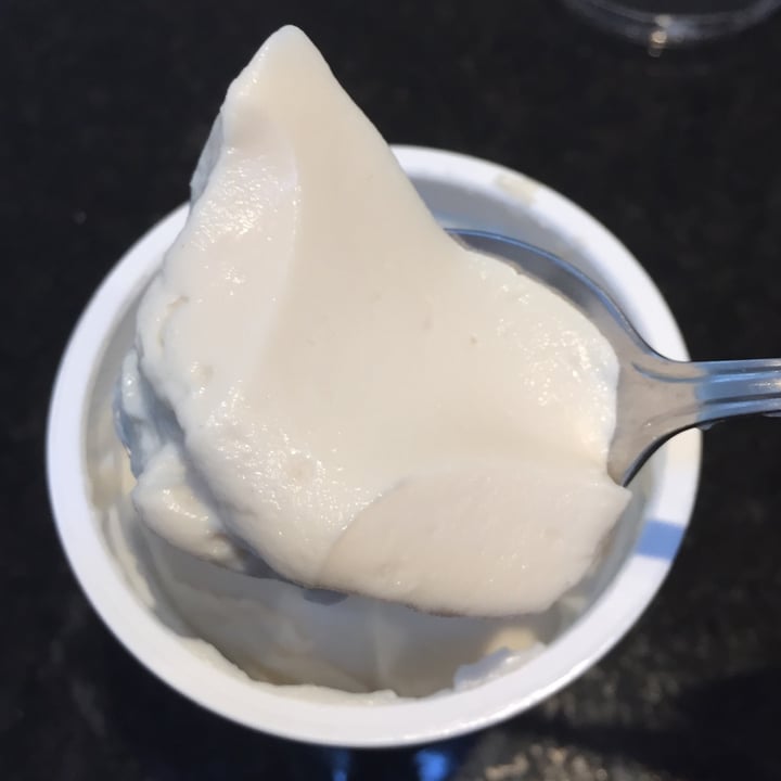 Daiya Plain Yogurt Alternative Review abillion
