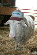 s1224 @s1224 profile image