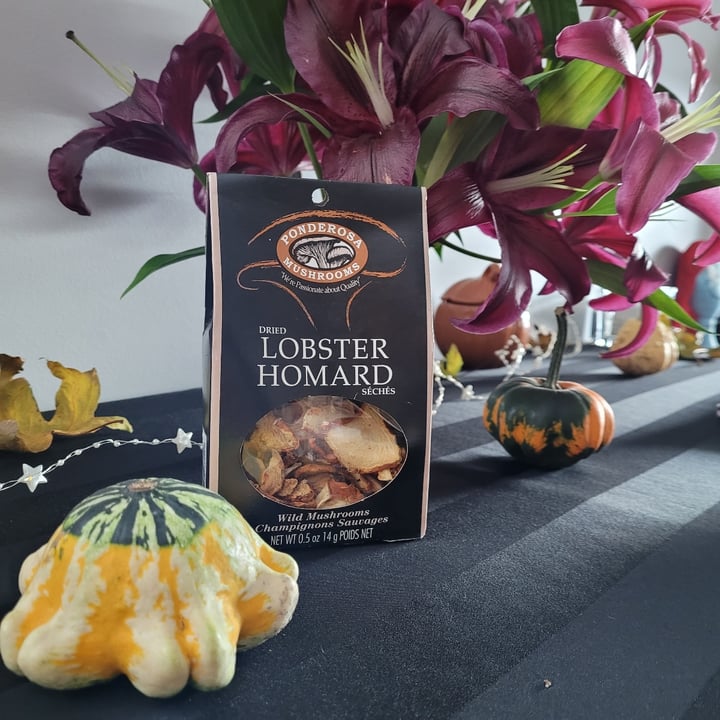 Ponderosa Mushrooms Dried Lobster Mushrooms Review abillion